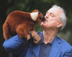 A breed of lemur is named after Cleese, it is called Avahi Cleesei and is the most endangered primate in the world.